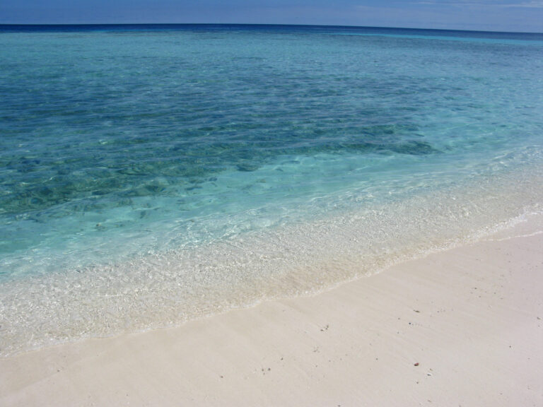 お金が貯まる人の家計管理ルールをわかりやすく解説