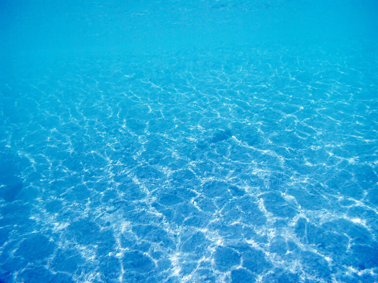 節約が苦手でも続けやすい家計管理のコツ